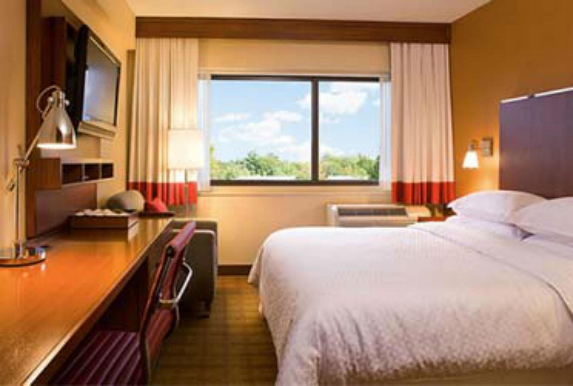 Four Points By Sheraton Punta Cana Bilik gambar